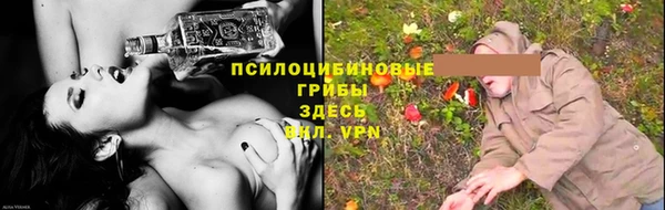 гашик Горняк