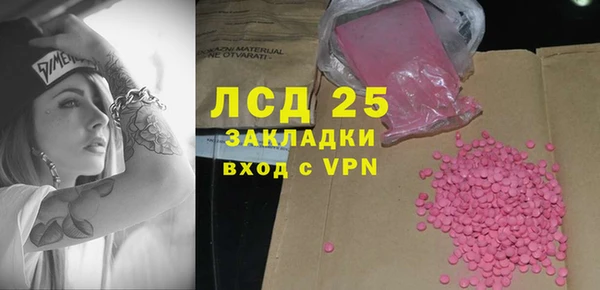 гашик Горняк