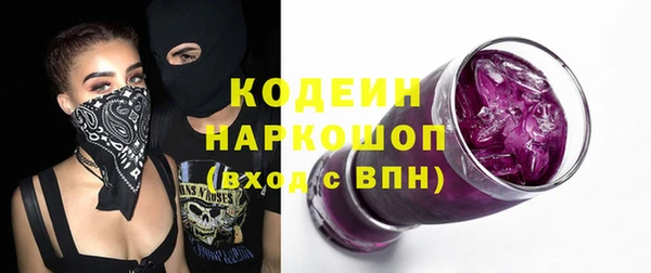 гидра Горнозаводск