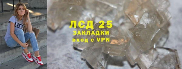 гидра Горнозаводск