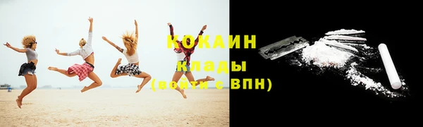 гашик Горняк