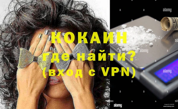 гашик Горняк
