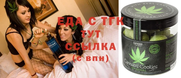 гидра Горнозаводск