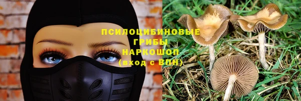 гашик Горняк