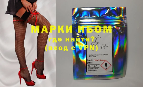 гашик Горняк