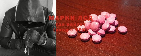 гидра Горнозаводск