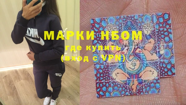 гашик Горняк
