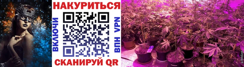 дарнет шоп  Оренбург  Шишки марихуана план 
